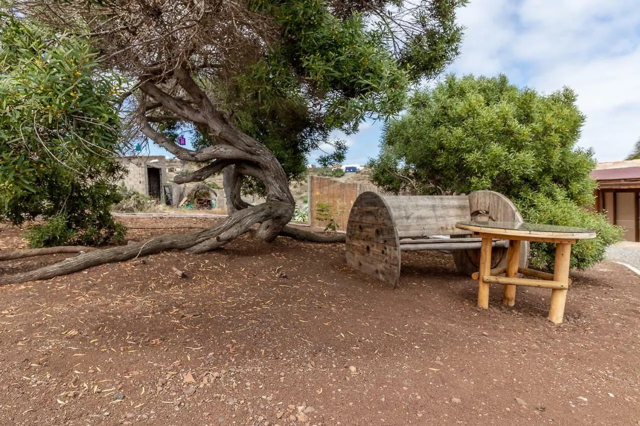 Santa Maria de Guia de Gran CanariaFlatguest Charming House + Pool + Terrace + Views别墅